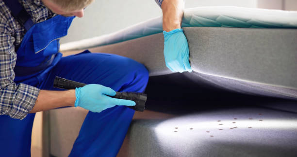 Best Termite Control Services  in Lake Monticello, VA