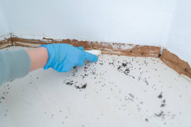 Professional Pest Control in Lake Monticello, VA