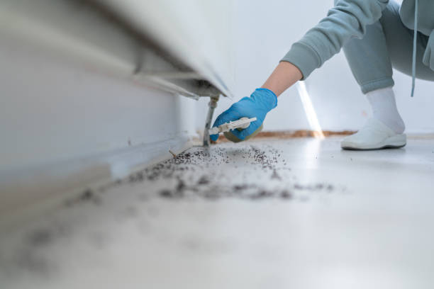 Best Pest Control for Restaurants  in Lake Monticello, VA